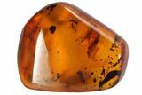 Detailed Fossil Spider (Aranea paradoxa) In Baltic Amber #90867-3